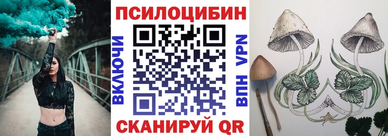купить закладку  Троицк  Псилоцибиновые грибы Cubensis 